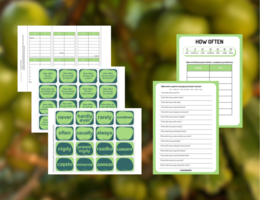 PRESENT SIMPLE 11 - przysłówki częstotliwości