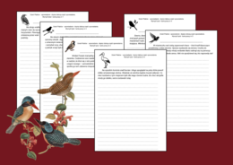 🦜 🐦Dzień Ptaków - Opowiedz dalej… 6 ptasich historii do dokończenia – jesień – OPOWIADANIE ✍️ - ĆWICZENIA REDAKCYJNE – karta pracy – kl. 4-8