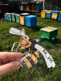 Gra w łapanie os - ortografia "rz" i "ż"