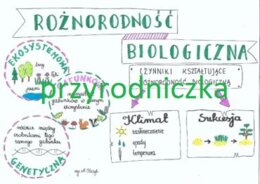 Różnorodność biologiczna