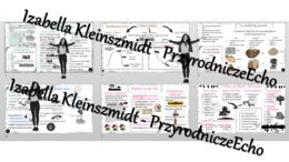 Zestaw sketchnotek do przyrody w klasie 4 wykonanych w power point do edycji, PRZYRODA 4, V „Poznajemy krajobraz najbliższej okolicy”