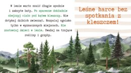 Bezpieczne wakacje - Wielki Poradnik Wakacyjny