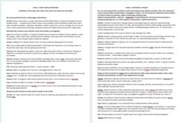 Opowieści z Narni. Scenariusz przedstawienia na wesoło + pożegnanie nauczycieli przez klasę 8, również w stylu Narnii.