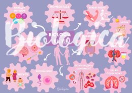 O CZYM BĘDĘ SIĘ UCZYŁ W TYM ROKU NA BIOLOGII? Obrazkowe karty na pierwszą lekcję dla klas 5-8.