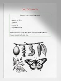 Łamigłówki i kolorowanki. Cykl życia roślin i zwierząt. Elementy krajobrazu. Połącz w pary.