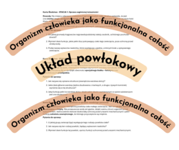 Zagadki detektywistyczne - stacje dydatktyczne Organizm człowieka jako funkcjonalna całość + Układ powłokowy