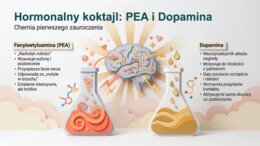 Miłość. Od chemii mózgu do zdrowej relacji (gazetka szkolna / prezentacja)