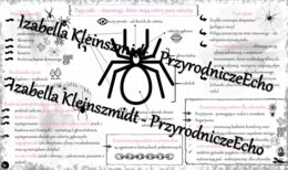 Sketchnotka - notatka „Pajęczaki – stawonogi, które mają cztery pary odnóży” wykonana w power point do edycji. Biologia 6; „Stawonogi i mięczaki”