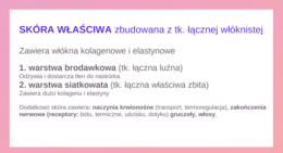 KLASA 3 rozszerzenie - PAKIET NA CAŁY ROK