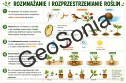 Rozprzestrzenianie okrytonasienne biologia klasa 5 sketchnotka