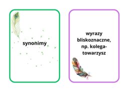 Fiszki leksyka, 14 pojęć z definicjami, pdf