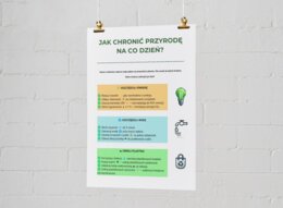 Jak chronić przyrodę na co dzień? Proste eko-nawyki