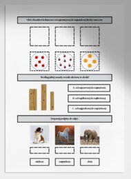 Porządkowanie według określonej zasady. Karta pracy. Sprawdzian.