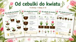 Od cebulki do kwiatu
