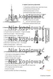 Karta pracy - czas Present Perfect (A2)