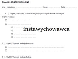 tkanki i organy roślinne - sprawdzian