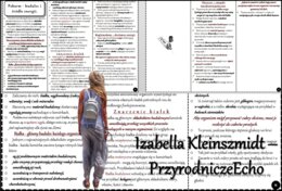 Książeczka/sketchnotka/notatka/wklejka/streszczenie dla ucznia i przypomnienie dla nauczyciela/edukacja domowa/materiał w pigułce. Temat „Pokarm – budulec i źródło energii” w pdf. Biologia 7, dział „Układ pokarmowy”. Nowość 2024/2025.