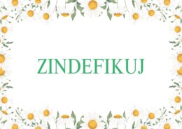 DZIEŃ PTAKÓW - EDUKACYJNA PRZYGODA DLA DZIECI