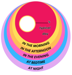 My Typical Day - Daily Routines - projekt dla ucznia