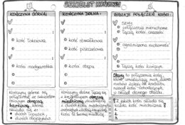 Układ szkieletowy (kostny) - szkielet kończyn - klasa 7 - szarość