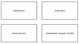 Karty koncepcyjne – pozytywizm