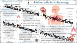 Sketchnotka - notatka „Budowa i funkcjonowanie układu oddechowego” wykonana w power point do edycji. Biologia 7; „Układ oddechowy
