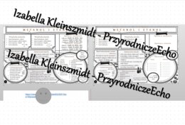 Minizestaw na temat „Metanol i etanol” – sketchnotka + karta pracy w power point + gratisowy link do prezentacji multimedialnej niekomercyjnej wykonanej w genial.ly do indywidualnego pobrania i użycia do celów niekomercyjnych. Chemia 8, „Pochodne węglowo
