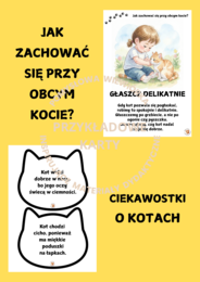 🐱 DZIEŃ KOTA