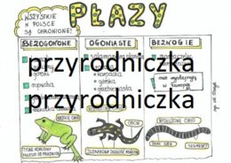 Klasa 6. Biologia. Przegląd płazów