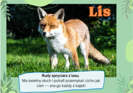 Gazetka Zwierzęta polski