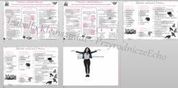 Mini zestaw do tematu „ Sposoby ochrony przyrody”- sketchnotki + karty pracy + gratisowy link do prezentacji multimedialnej niekomercyjnej wykonanej w genial.ly do indywidualnego pobrania i użycia do celów niekomercyjnych. Biologia klasa 8, dział IV „Czł