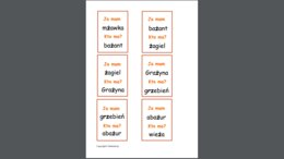 Zestaw kart typu kto ma, ja mam – głoski szumiące