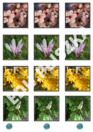 Pionowo, poziomo, na skos: pory roku