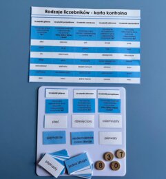 Liczebniki - podział - dopasowywanka