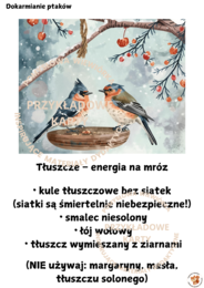 PTAKI ZIMĄ