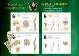 Notatki graficzne BIOLOGIA - Szkielet człowieka (dostępny do połowy października)