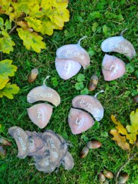 Jesień - żółędzie - ortografia