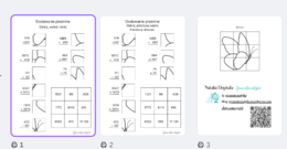 Dodawanie pisemne - karta pracy Motyl