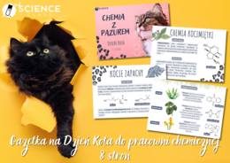 Gazetka na Dzień Kota do pracowni chemicznej