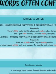 WORDS OFTEN CONFUSED - FEW/A FEW/LITTLE/ A LITTLE