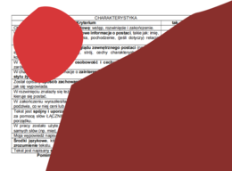 Kryteria pisania CHARAKTERYSTYKI na języku polskim - klasa IV-VI