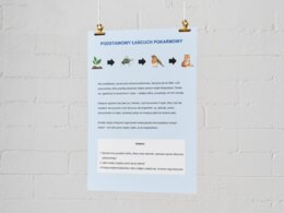 Łańcuchy i sieci pokarmowe. Znaczenie równowagi w ekosystemie. Łańcuch pokarmowy