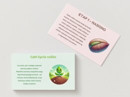 PLANSZA - Cykl życia roślin