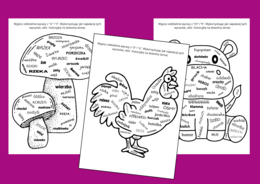 Ortograficzne CHMURY wyrazowe Ó/U, RZ/Ż, CH/H - chmura - ortografia - karta pracy - ćwiczenia redakcyjne - zestaw