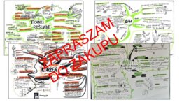 ? Biologia 5 klasa - tkanki i organy roślinne - zestaw sketchnotek