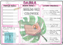 Skóra (budowa i funkcje) - kolor
