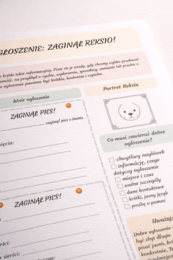 Ogłoszenie: zaginął Reksio!