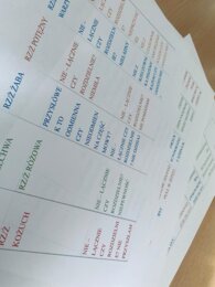 Gra dydaktyczna 1 z 10 z języka polskiego w klasie IV, prawie 100 pytań!