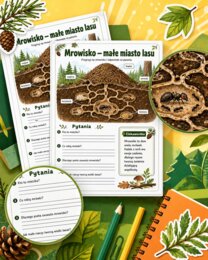 Mrowisko - małe miasto lasu