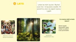 Las w 4 porach roku. Prezentacja.